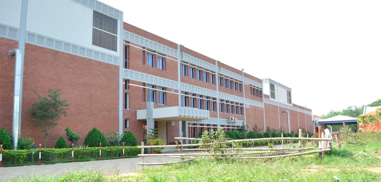 Development and Opportunities